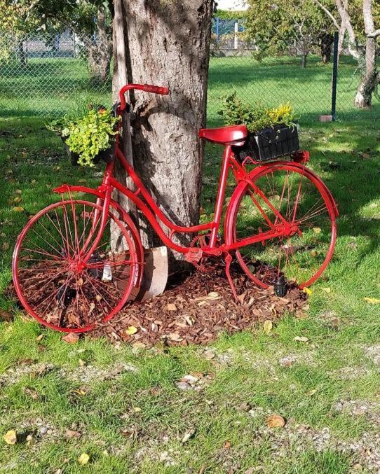 Gite Au Pommier Fleuri Et Son "Appart" Independant Drusenheim エクステリア 写真