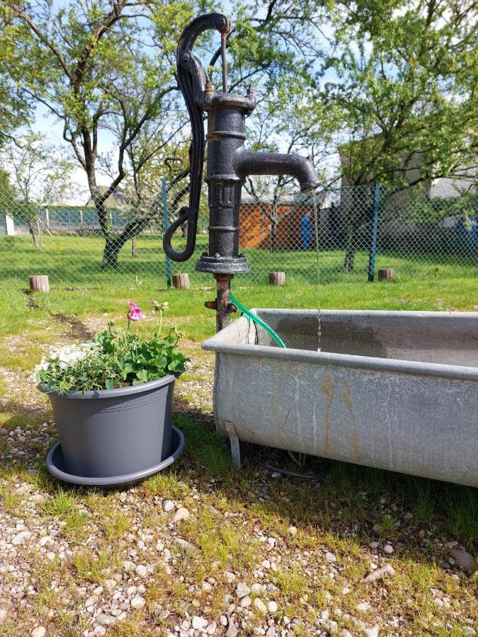 Gite Au Pommier Fleuri Et Son "Appart" Independant Drusenheim エクステリア 写真