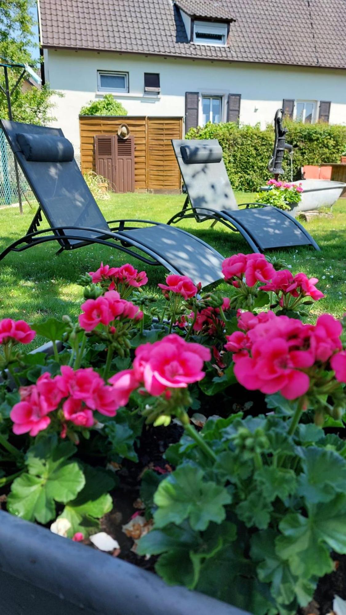 Gite Au Pommier Fleuri Et Son "Appart" Independant Drusenheim エクステリア 写真