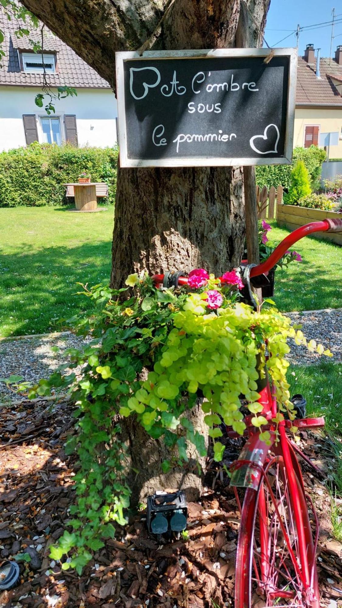Gite Au Pommier Fleuri Et Son "Appart" Independant Drusenheim エクステリア 写真
